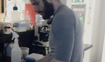 Daniel Principe working in lab