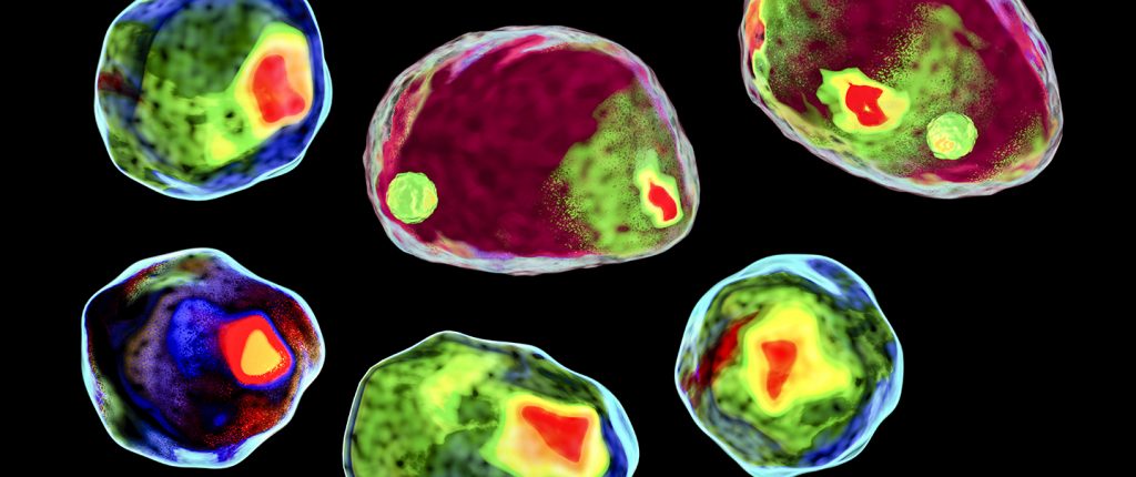 Flow Cytrometry image of a human cell