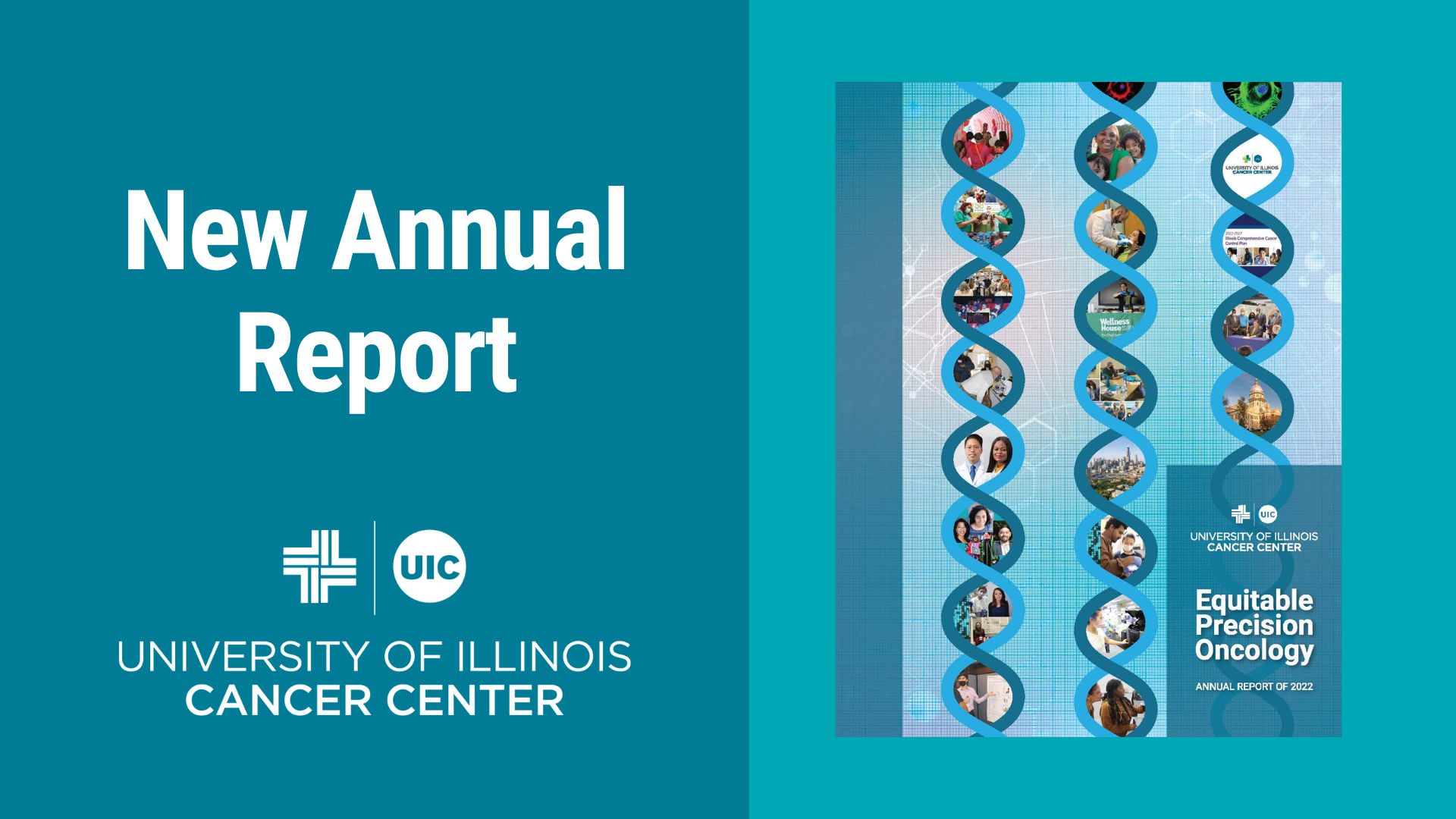 cancer research annual report and accounts