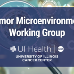Tumor Microenvironment Working Group graphic