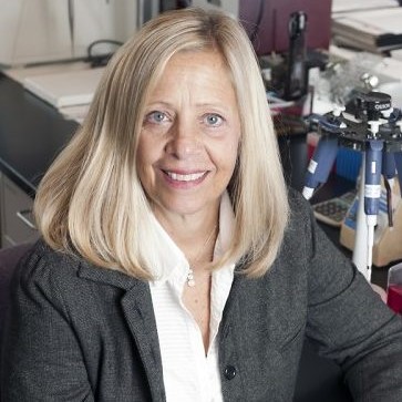 Image of Gails Prins, PhD