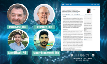 Get insights into a new study published in the Journal of Biological Chemistry (JBC), by cancer center members.