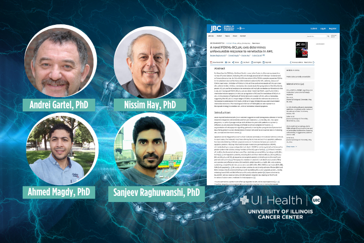 Get insights into a new study published in the Journal of Biological Chemistry (JBC), by cancer center members.